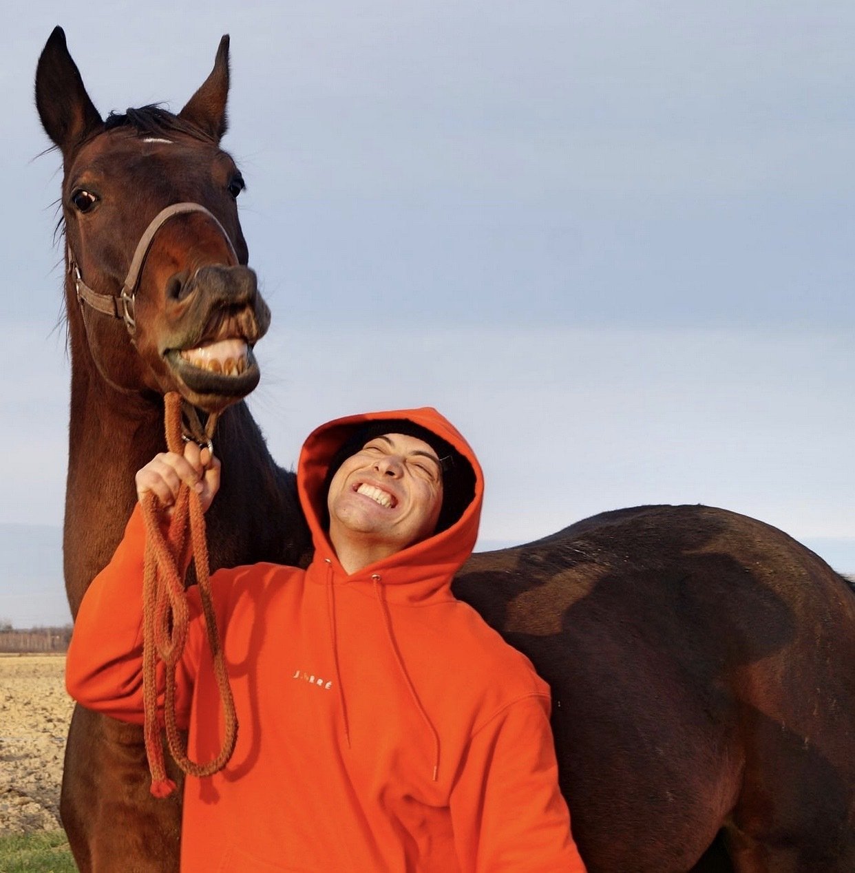 MK-horse-pet-Insta
